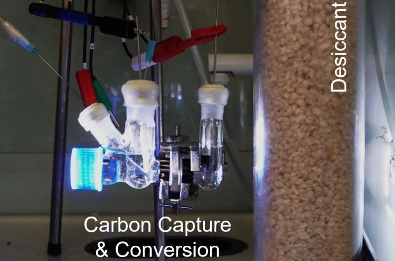 One Major Bid to Enter a Zero-Carbon Reality