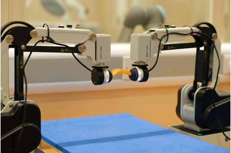 Making Robots Get a Hang of Human Dexterity