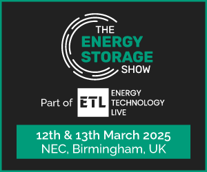 The Energy Storage Show
